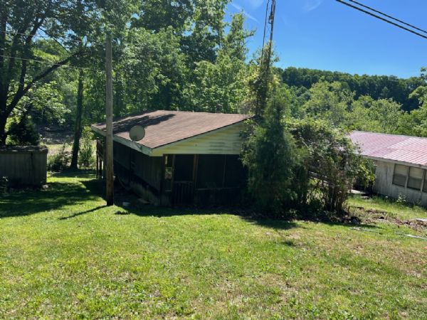 Lewis Auction
