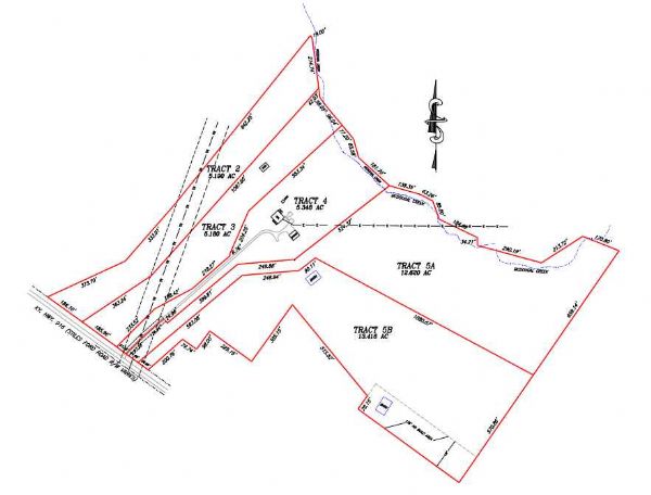 Lewis Auction