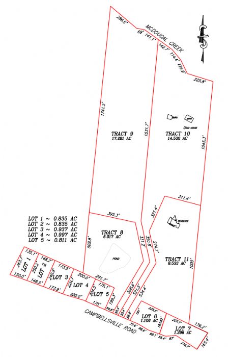 Lewis Auction