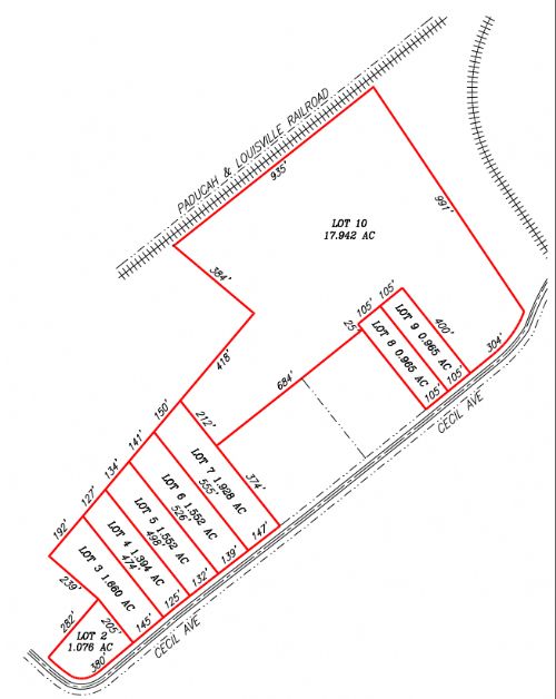 Lewis Auction