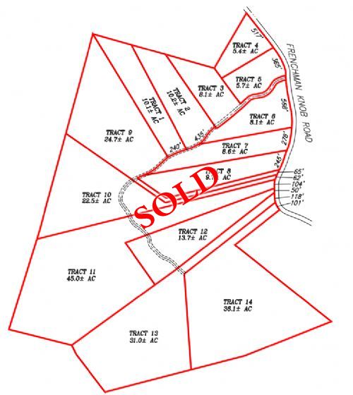 Lewis Auction