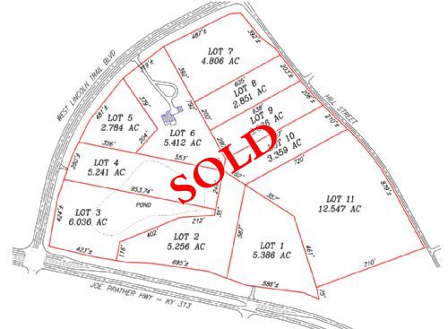 Lewis Auction