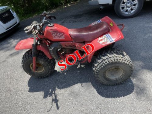 Lewis Auction