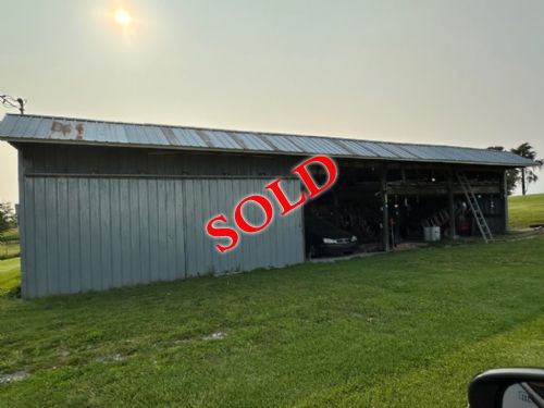 Lewis Auction
