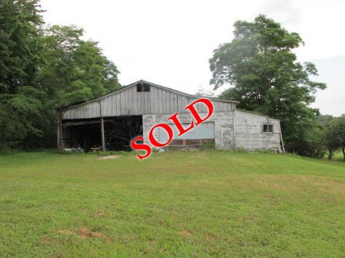 Lewis Auction