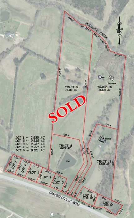Lewis Auction