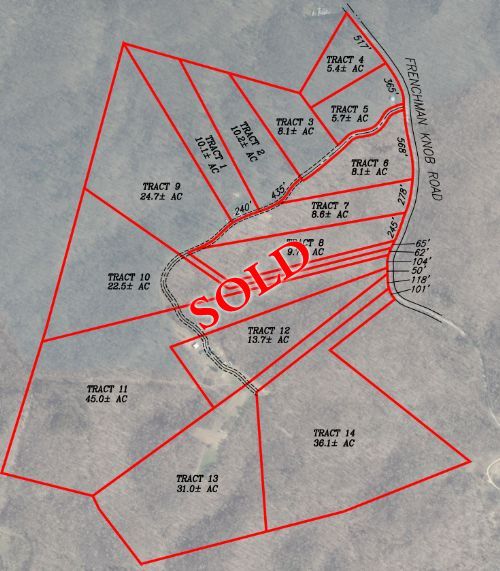 Lewis Auction