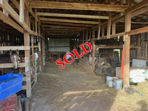 Lewis Auction