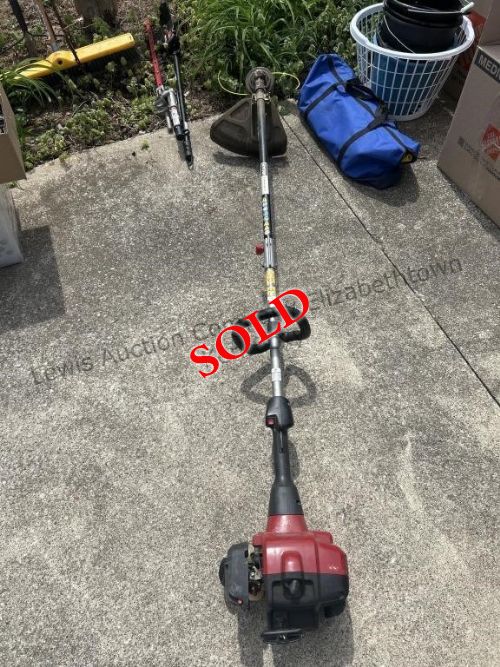 Lewis Auction