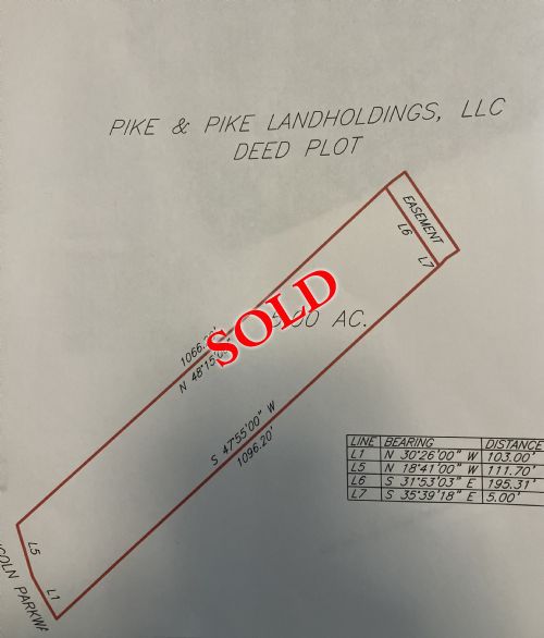 Lewis Auction