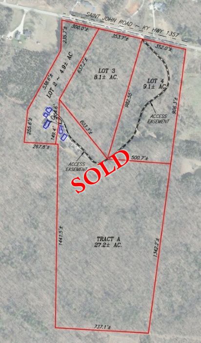 Lewis Auction